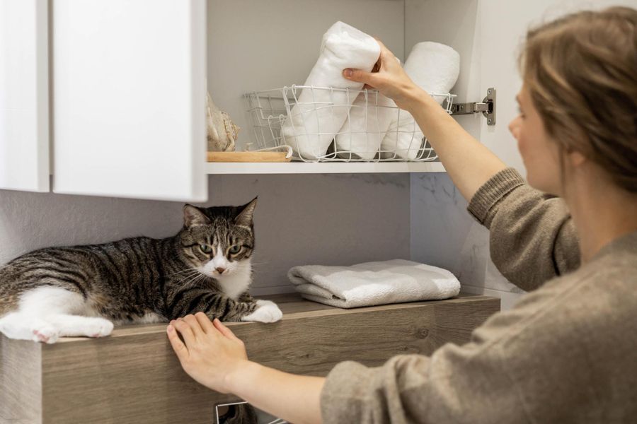 Bathroom Storage Ideas in 2023