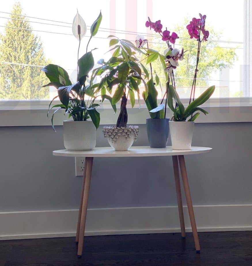 Small Side Table (Oval), Industrial End Table (White-9)